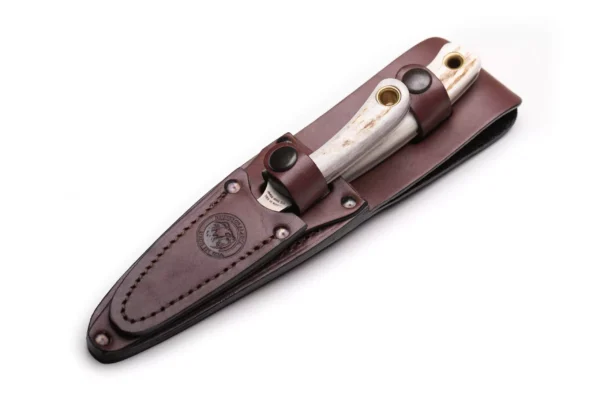 Alpha Wolf and Cub Bear knives with stag handles secured inside a dark brown leather sheath